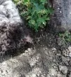 Slika 3