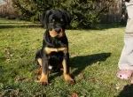 Slika 3