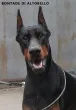 Slika 2