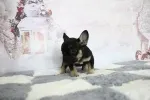 Slika 3