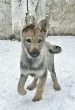 Slika 1