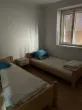 Slika 1
