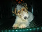 Slika 3