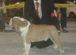 Slika 5