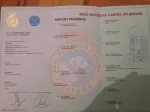 Slika 6