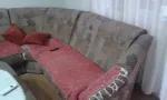 Slika 1
