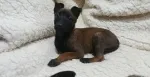 Slika 1