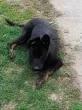 Slika 3