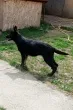 Slika 5