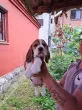 Slika 2