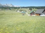 Slika 1