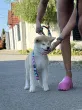 Slika 3