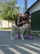 Slika 4