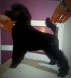 Slika 2
