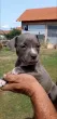 Slika 2