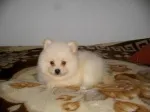 Slika 2
