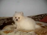 Slika 3