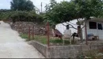 Slika 2