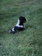 Slika 2