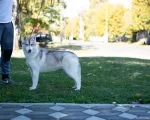 Slika 3