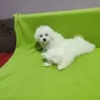 Slika 3