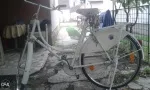 Slika 1