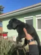 Slika 2