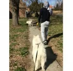 Slika 4