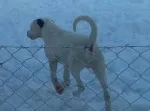 Slika 3
