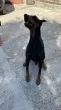 Slika 1