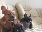 Slika 2