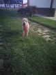 Slika 2