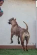 Slika 1