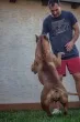 Slika 4