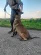 Slika 4