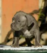 Slika 2