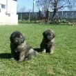 Slika 3