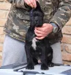 Slika 2
