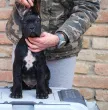 Slika 6