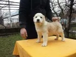 Slika 2