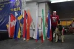 Slika 6
