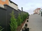 Slika 5