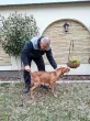 Slika 1