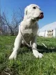 Slika 2
