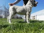 Slika 3