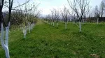 Slika 2