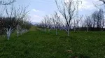 Slika 3