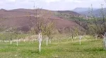 Slika 5