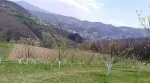 Slika 6