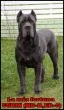 Slika 3